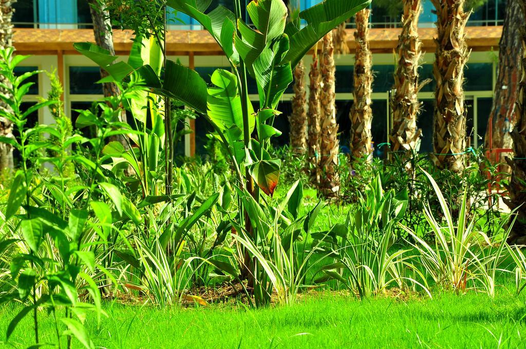 Maya World Hotel All Inclusive Side Ngoại thất bức ảnh